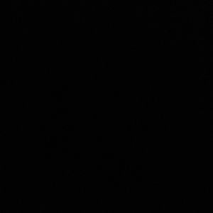 Meet your Posher, Abigail